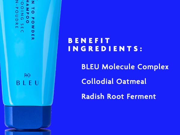 Vapor Lotion to Powder Dry Shampoo by R+Co BLEU