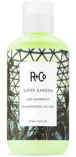 Bottle of R+Co Super Garden Shampoo with a green label featuring a botanical print.