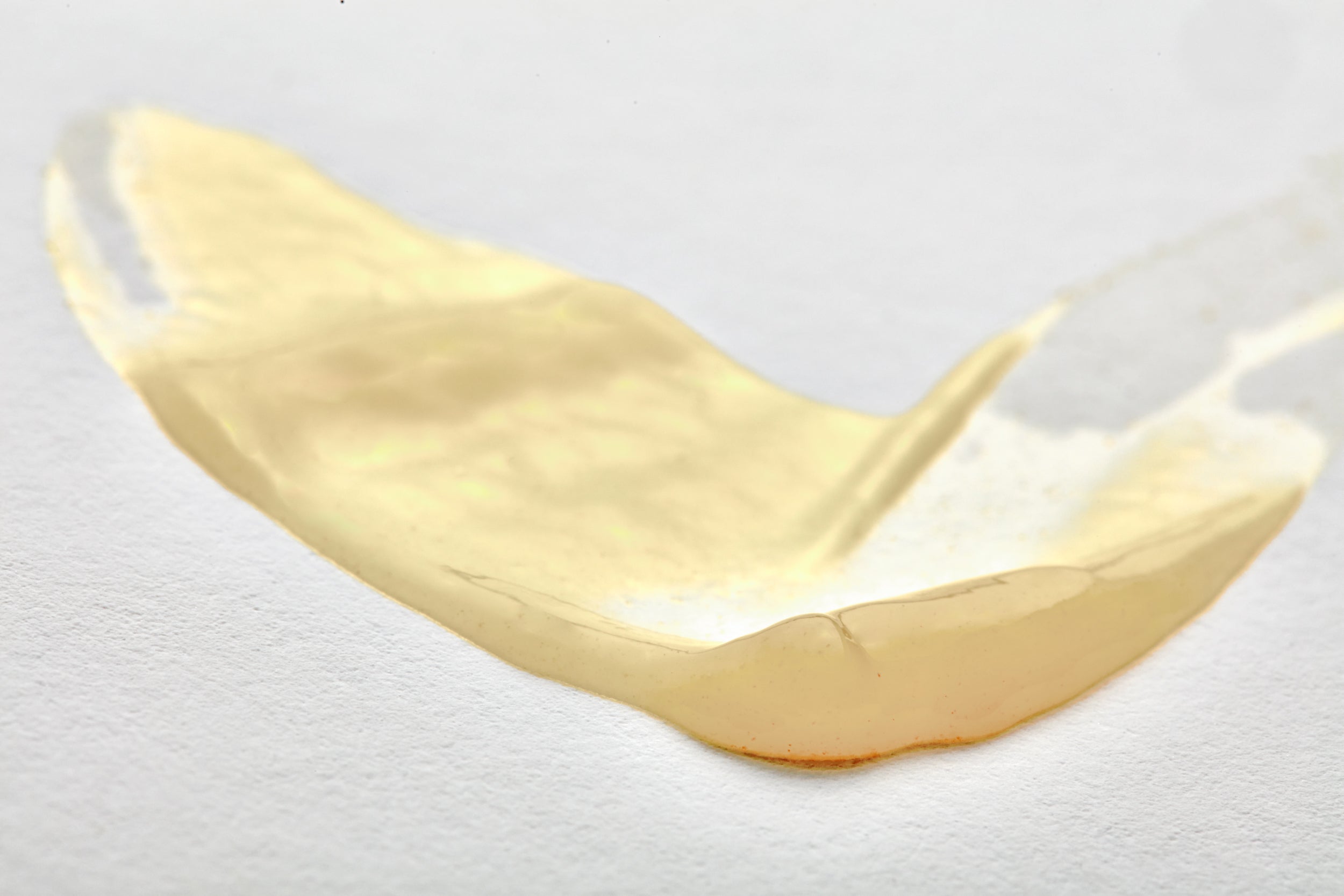 Intelligent Nutrients Re:generative Eye Gel Swatch