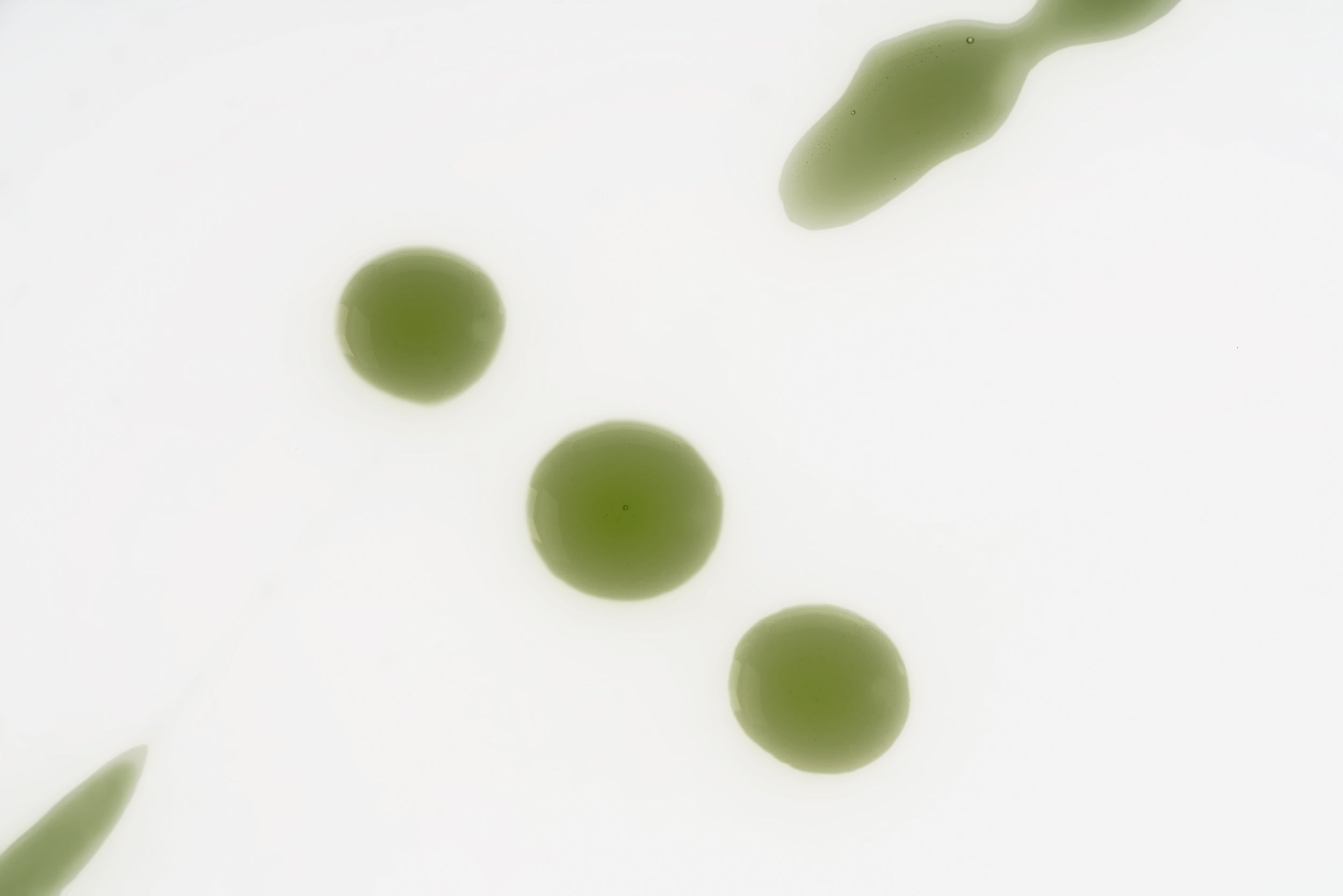 Seed Synergy Hydra-Lotion Swatch